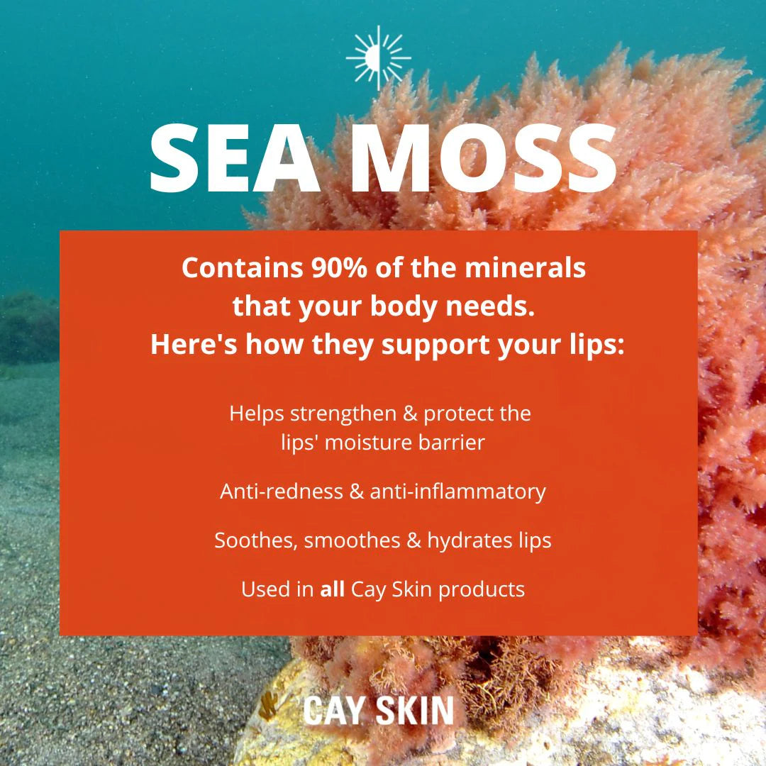 PRE ORDER CAY SKIN Isle Lip Balm SPF 30 with Sea Moss and Aloe Stem Cells